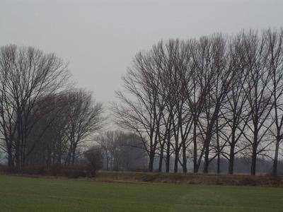 Prosiměřice
